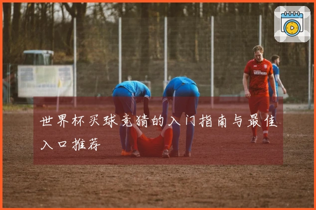 世界杯买球竞猜的入门指南与最佳入口推荐