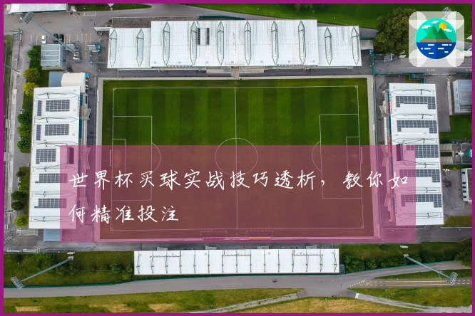 世界杯买球实战技巧透析，教你如何精准投注