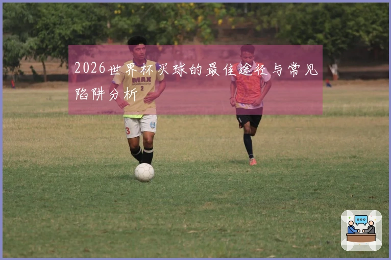 2026世界杯买球的最佳途径与常见陷阱分析