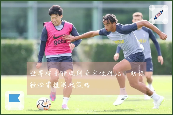 世界杯竞猜规则全方位对比，助你轻松掌握游戏策略