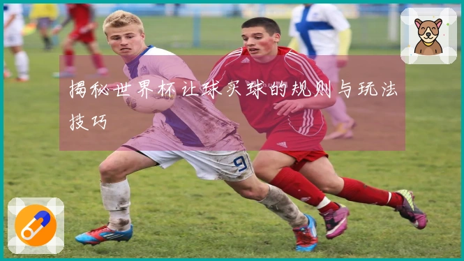 揭秘世界杯让球买球的规则与玩法技巧