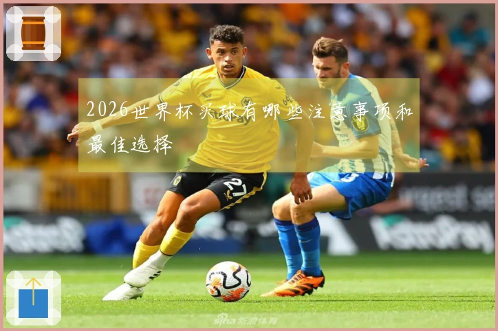2026世界杯买球有哪些注意事项和最佳选择