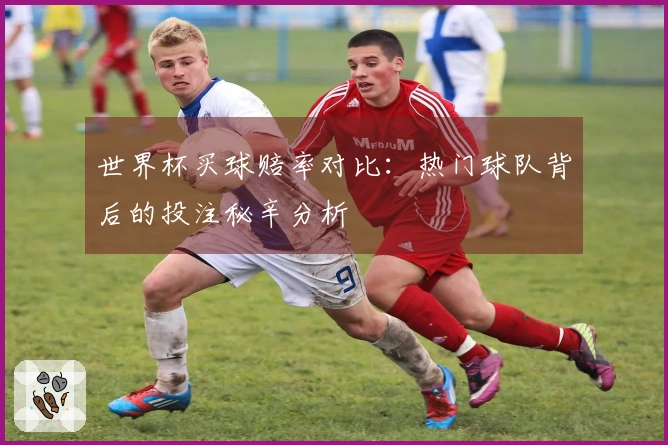 世界杯买球赔率对比：热门球队背后的投注秘辛分析