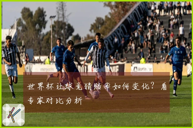 世界杯让球竞猜赔率如何变化？看专家对比分析