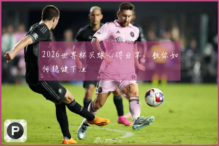 2026世界杯买球心得分享,教你如何稳健下注