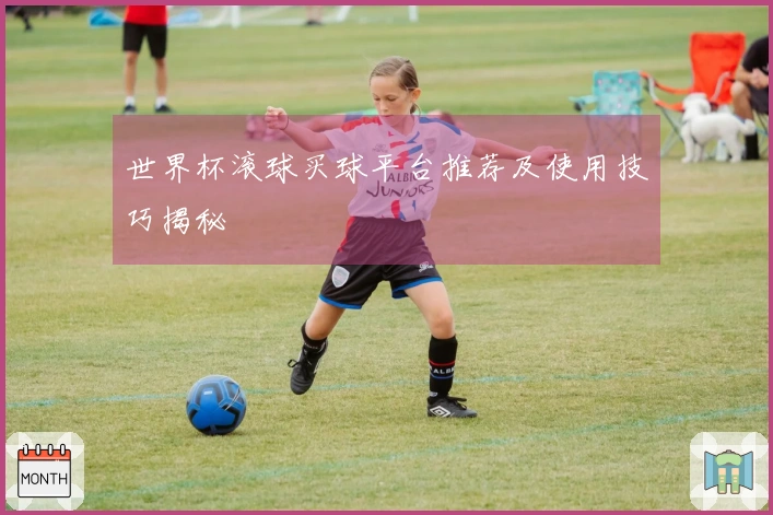 世界杯滚球买球平台推荐及使用技巧揭秘